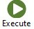 Execute Icon